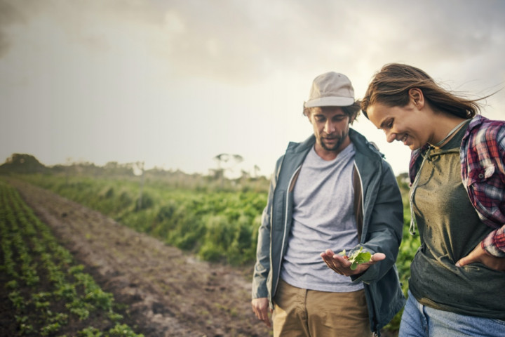 Zwei junge Landwirt:innen auf einem Feld. Sie betrachten die Pflanzen. 
