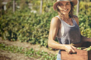 A woman carrying a box of freshly harvested vegetables from the field.